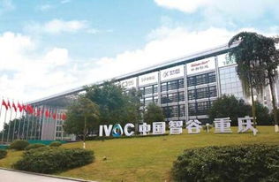 世界了解重慶的窗口 蓬勃發(fā)展的重慶科技服務(wù)